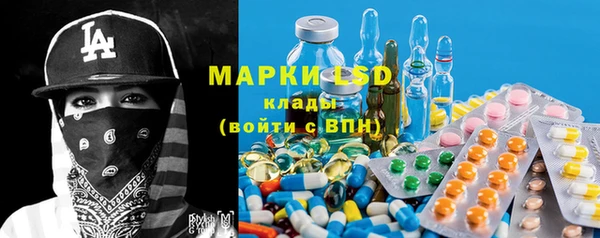 ПСИЛОЦИБИНОВЫЕ ГРИБЫ Гусь-Хрустальный