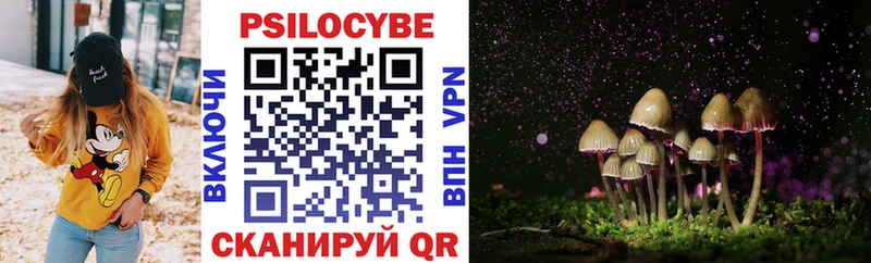 Псилоцибиновые грибы Cubensis  где купить наркоту  Кушва 